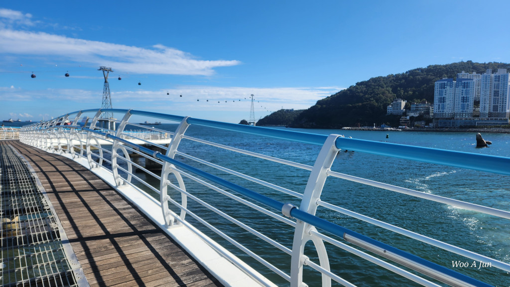 235149625_tkB9OPYa_1d18625cd00e48eed4ab07f2b3dc6a5e72cf6c7d.jpg 이미지크게보기